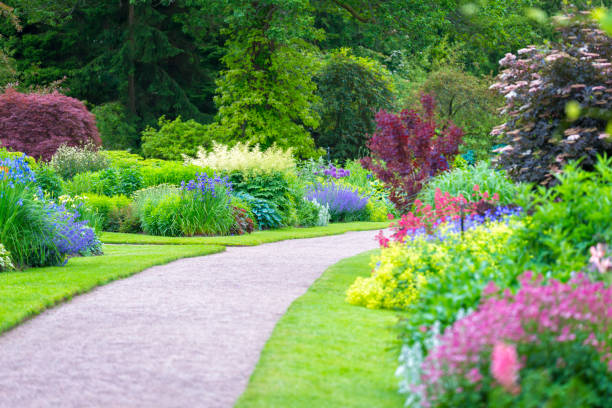 The Ultimate Guide to Garden Care: Top Tips for a Lush and Vibrant Outdoor Space