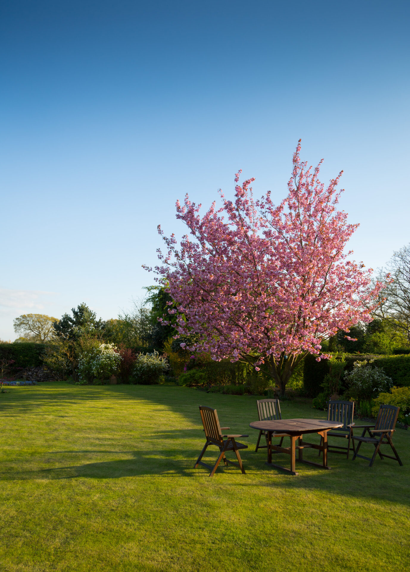 Unlock the Secret to Stunning Lawns with Lawn Striping: Tips and Techniques for Picture-Perfect Landscapes