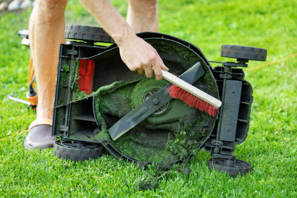 Maintain a Pristine Lawn with Ease: Discover the Significance of a Sharp Mower Blade and How a Blade Sharpener Can Help