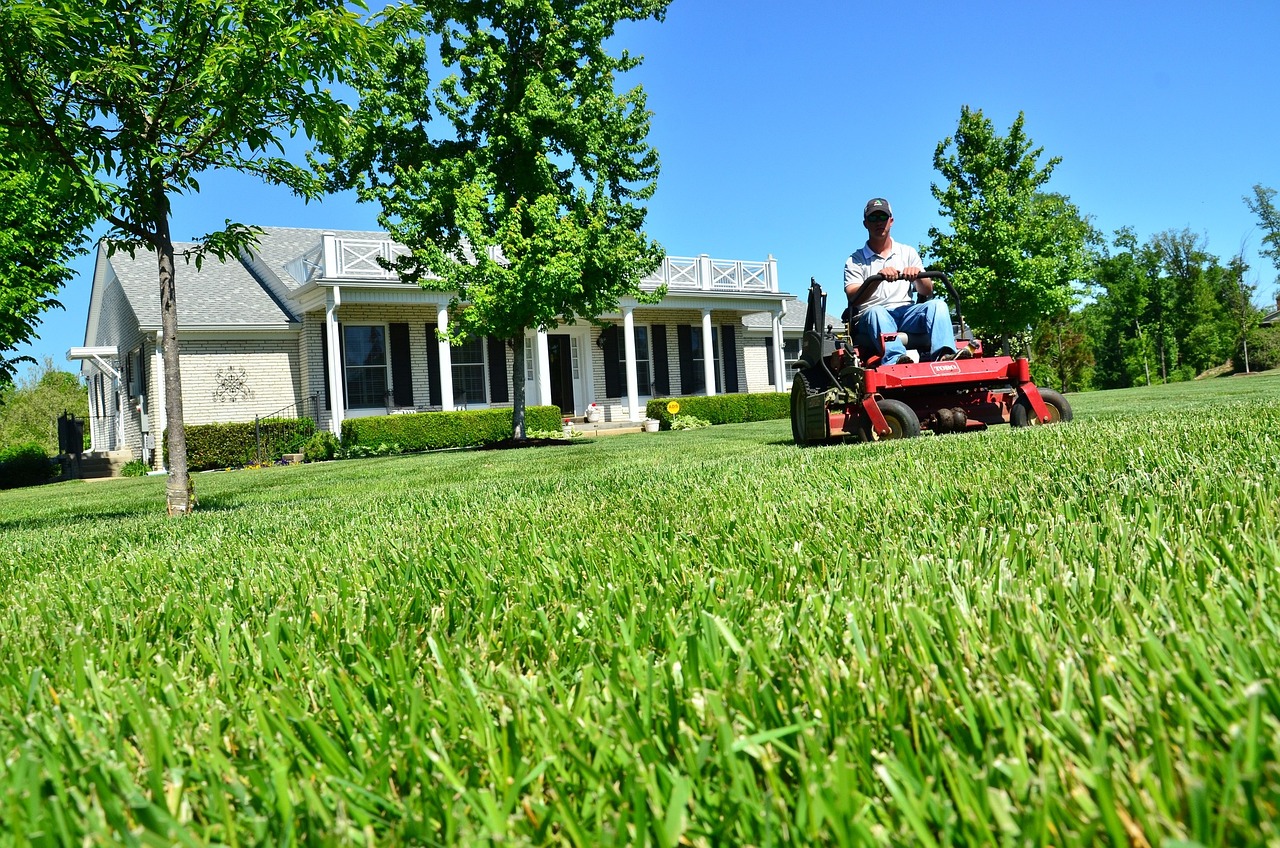 The Ultimate Guide to Lawn Mower Maintenance: Tips and Tricks for a Pristine Yard