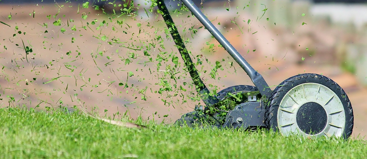 The Evolution of the Lawn Mower: From Manual Labor to Precision Cutting
